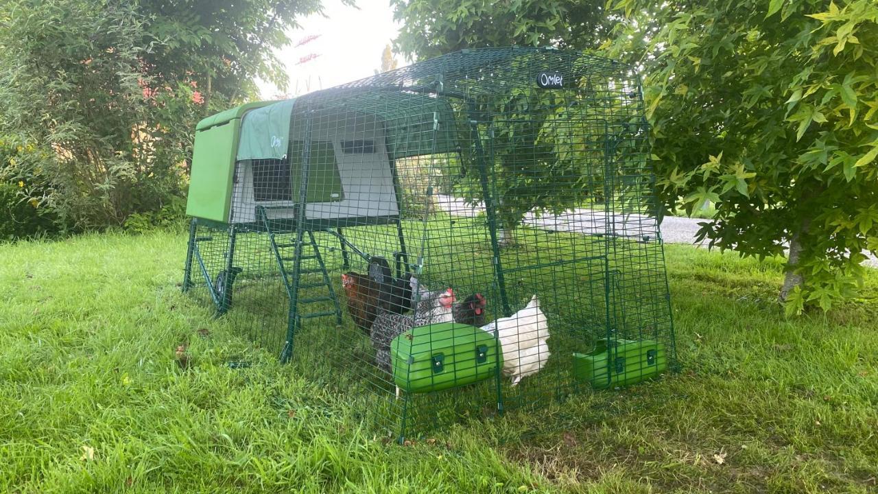 Вилла Les Mouettes - La Paix Du Bord De Seine Berville-sur-Seine Экстерьер фото